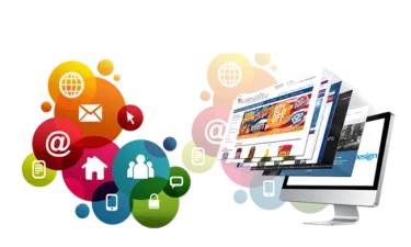 WEB DESIGN & DEVELOPMENT