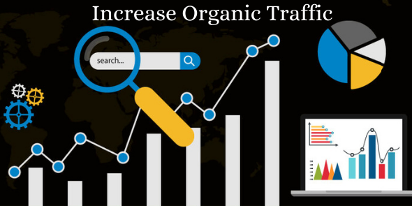 Increased Organic Traffic